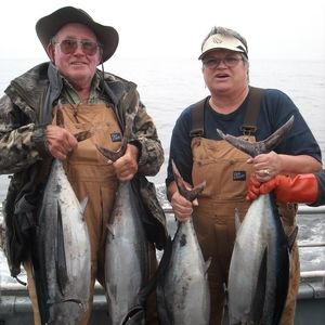 Meet your Posher, Patricia